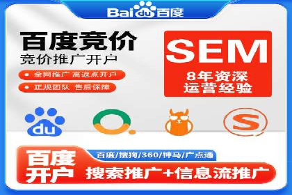 SEM代运营案例分析：精准投放策略解析