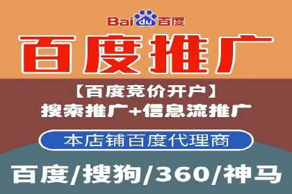 某企业通过百度SEM实现ROI最大化的案例